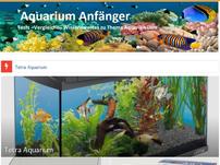 Aquarium Anfänger