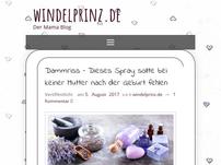 windelprinz.de