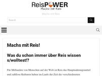 Reispower.de