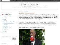 Nebelmaschine