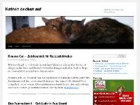 Katzen decken auf