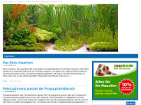 Aquarium Fische