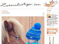 lebenslustiger.com