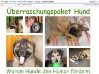 Überraschungspaket Hund