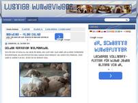 Lustige Hundevideos