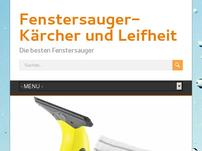 Fenstersauger u​nd Fensterreiniger