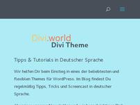 Divi Theme World