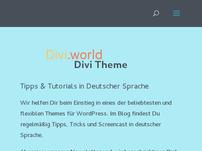 Divi Theme World