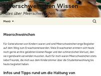 Meerschweinchen Wissen