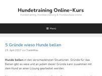 Hundetraining Online-Kurs