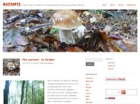 Pilze im Herbst