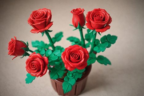 Lego-artige rote Rosen 23